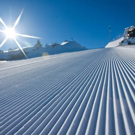 Haus Alpina In & Out * Schladming