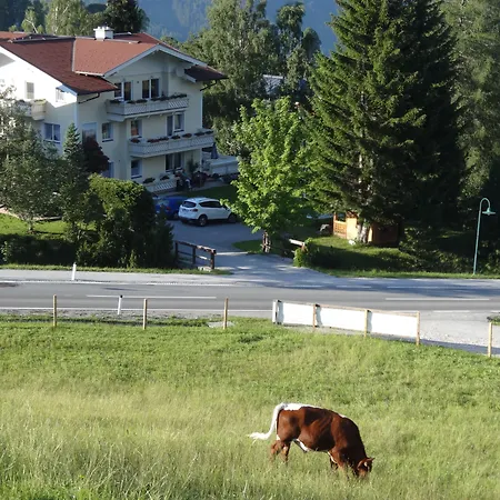 Dom wakacyjny Haus Alpina In & Out