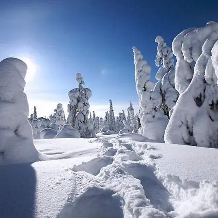 Haus Alpina In & Out * Schladming