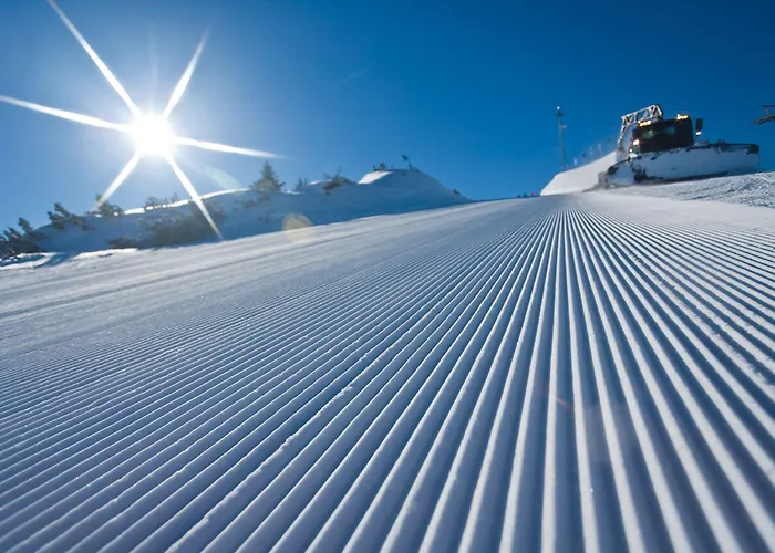 Haus Alpina In & Out * Schladming