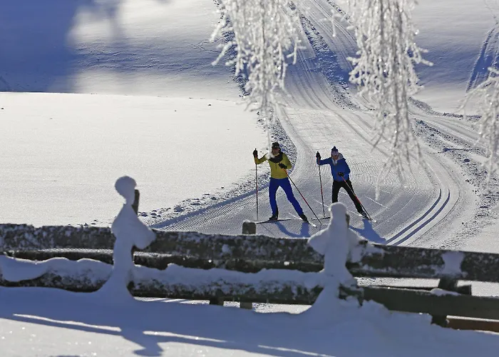 Dom wakacyjny Haus Alpina In & Out *