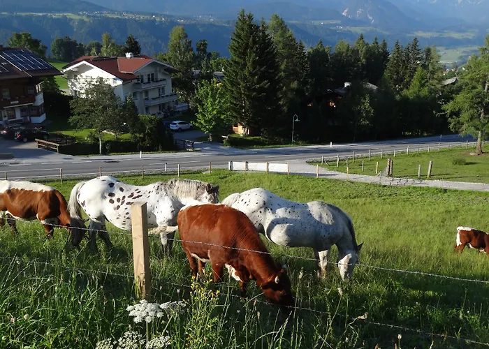 Haus Alpina In & Out Dom wakacyjny Schladming
